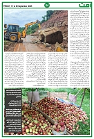 UmmatNews19September2025_page-0004