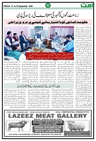 Ummat News 12 September 2025_page-0002