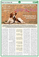 Ummat News 10 October 2025_page-0004