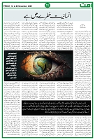 Page 11_page-0001