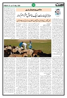 Ummat 01 May 2026_page-0012