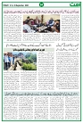Ummat News 12 September 2025_page-0004