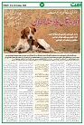Ummat News 10 October 2025_page-0004