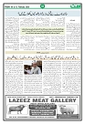 Page 02