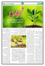 UMMAT P4