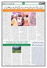 Ummat 24 April 2026 ISSUE_page-0003