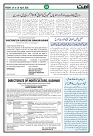 Ummat 24 April 2026 ISSUE_page-0004